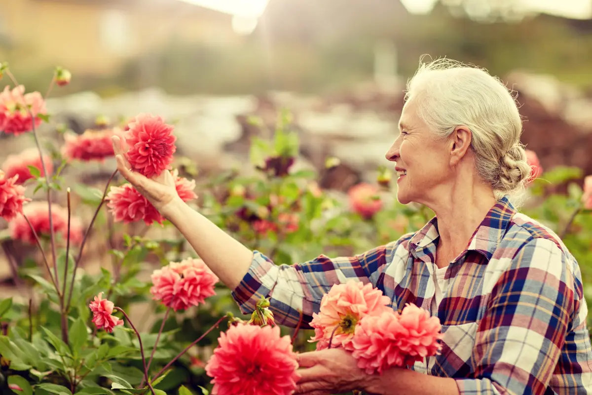 Mayo es uno de los mejores meses para embellecer el jardín con flores propias de la primavera. Foto: Canva