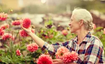 ¡Bienvenido mayo! Embellece tu jardín con estas 5 plantas perfectas para el mes