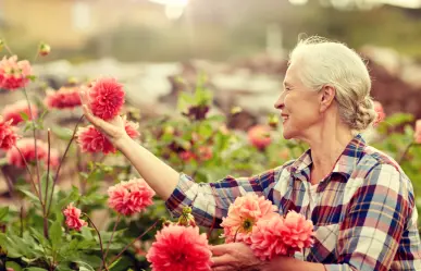 ¡Bienvenido mayo! Embellece tu jardín con estas 5 plantas perfectas para el mes