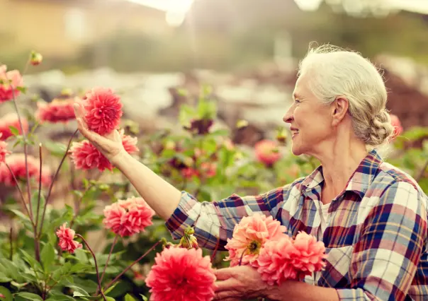 ¡Bienvenido mayo! Embellece tu jardín con estas 5 plantas perfectas para el mes