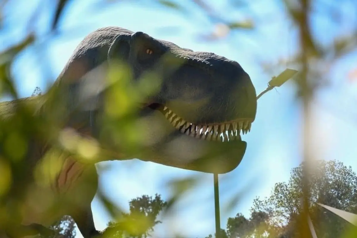 Figura de dinosaurio Foto: Iztapasaurio