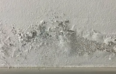 Elimina la humedad de tus paredes con este truco facilísimo