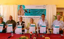 Premio Estatal de Periodismo en BCS honrará la trayectoria de icónica comunicadora