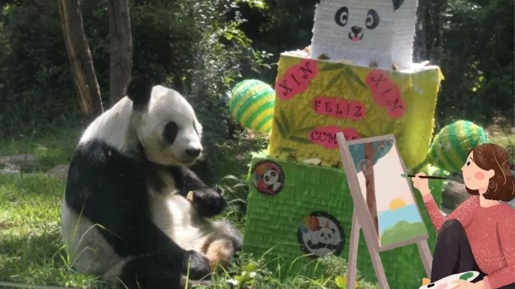 ¡Felices 35 años Xin Xin! CDMX celebra a la panda de Chapultepec con una exposición de dibujo