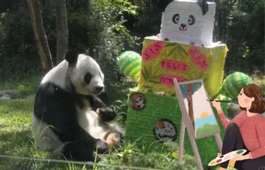 ¡Felices 35 años Xin Xin! CDMX celebra a la panda de Chapultepec con una exposición de dibujo