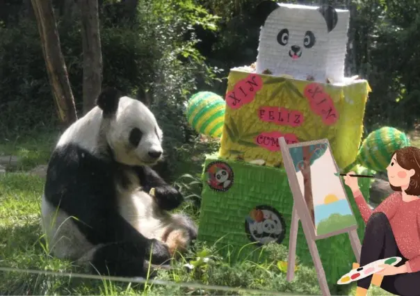 ¡Felices 35 años Xin Xin! CDMX celebra a la panda de Chapultepec con una exposición de dibujo