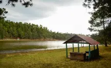 En este lugar dedicado al ecoturismo en Durango puedes pasear a caballo junto a un hermoso lago