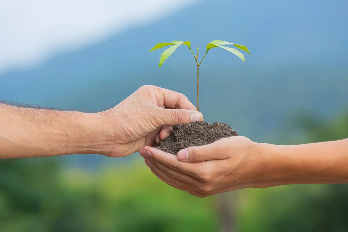 “Adopta un Árbol MTY” es una iniciativa del Gobierno de Monterrey que busca involucrar directamente a la ciudadanía en el cuidado del entorno urbano. Foto: Freepik