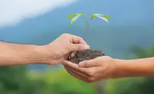 Adrián de la Garza invita a participar en la 4ª edición de “Adopta un Árbol” en Monterrey
