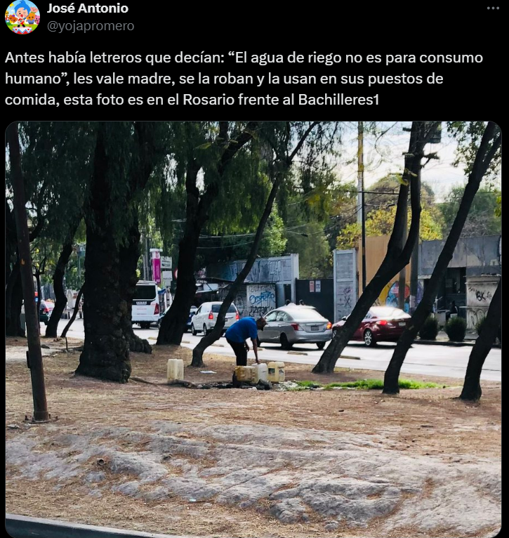 imagen-cuerpo imagen-cuerpo