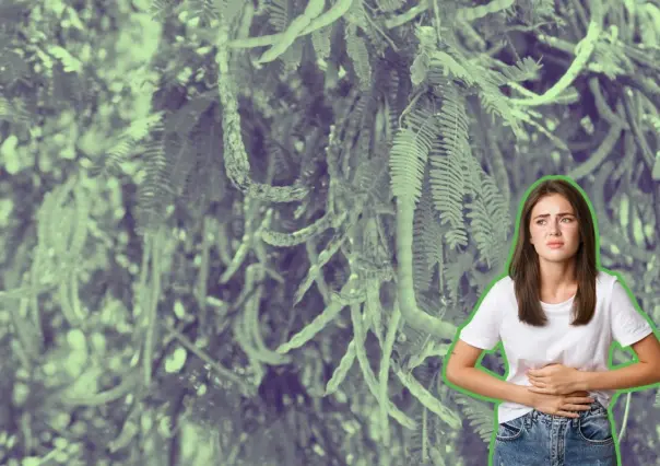 Conoce este árbol nativo de Nuevo León que puedes tratar en los problemas digestivos