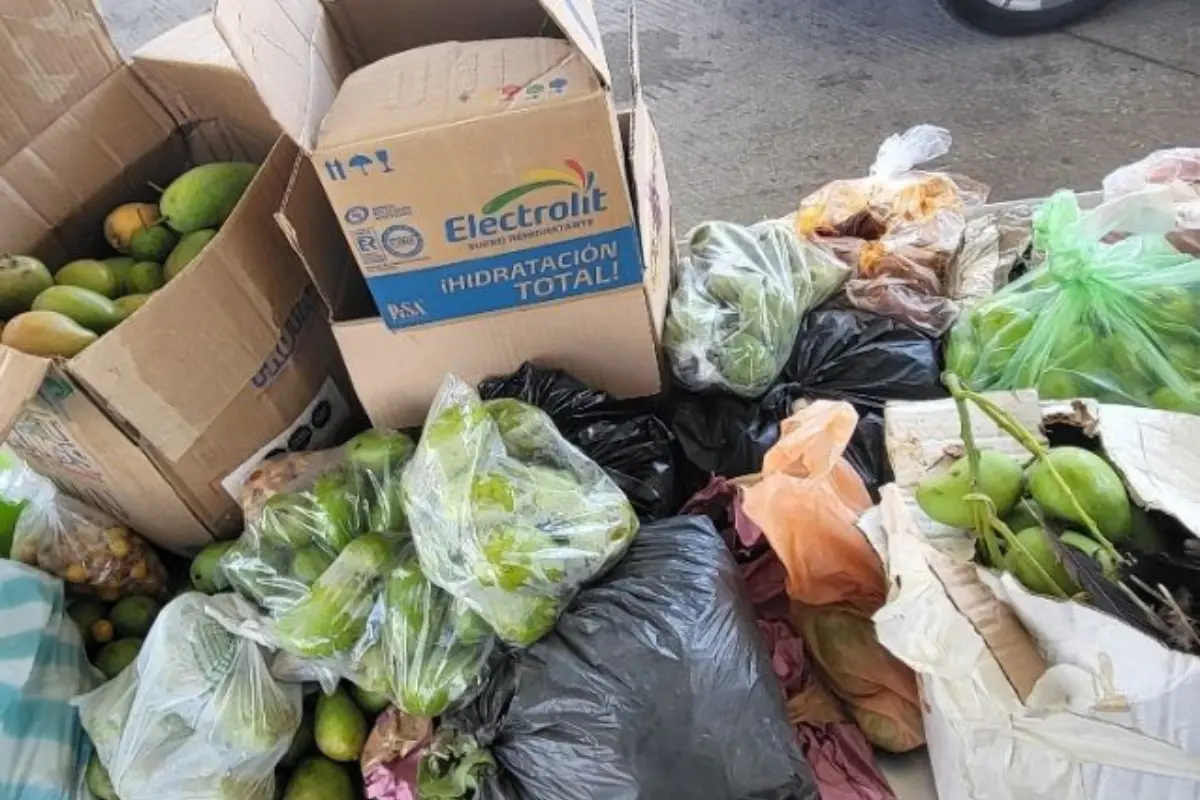 El Departamento de Agricultura de los Estados Unidos (USDA) tiene una lista extensa de productos restringidos, y cada viajero debe familiarizarse con ella antes de cruzar la frontera. Foto: SSP
