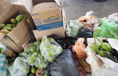 ¡Solo era fruta! CBP decomisa 218 mangos y 7 kilos de nanches en cruce Juárez-Lincoln