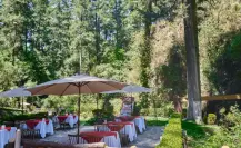 Gastronomía viral: 3 destinos imperdibles para comer en el Edomex