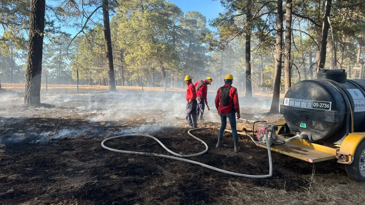 Se registra un importante número de incendios forestales en Durango. Foto: SRNYMA.