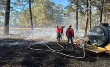 Van más de 200 incendios forestales en Durango en el 2025; es de los estados más afectados