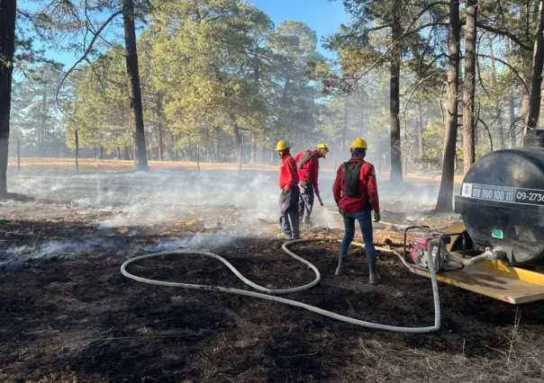 Van más de 200 incendios forestales en Durango en el 2025; es de los estados más afectados