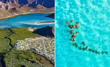 De Baja California Sur a la Patagonia: el impresionante documental de Nat Geo que debes ver