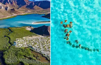 De Baja California Sur a la Patagonia: el impresionante documental de Nat Geo que debes ver