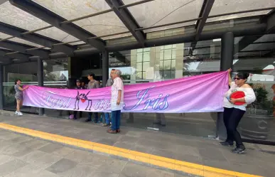 Protestan madres y padres del Colectivo Iris en Veracruz por casos de violencia vicaria