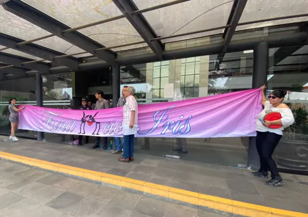 Protestan madres y padres del Colectivo Iris en Veracruz por casos de violencia vicaria
