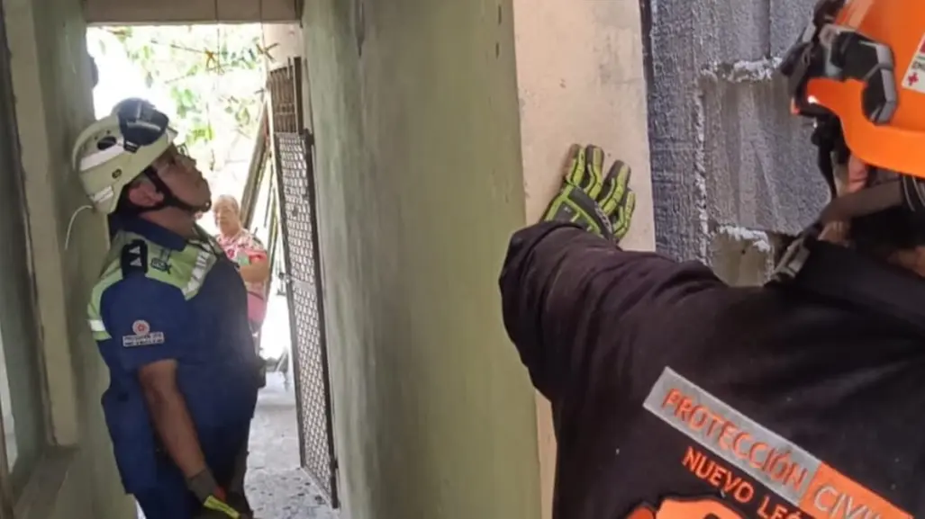 Protección Civil de Nuevo León rescata a gato atrapado entre paredes en San Nicolás