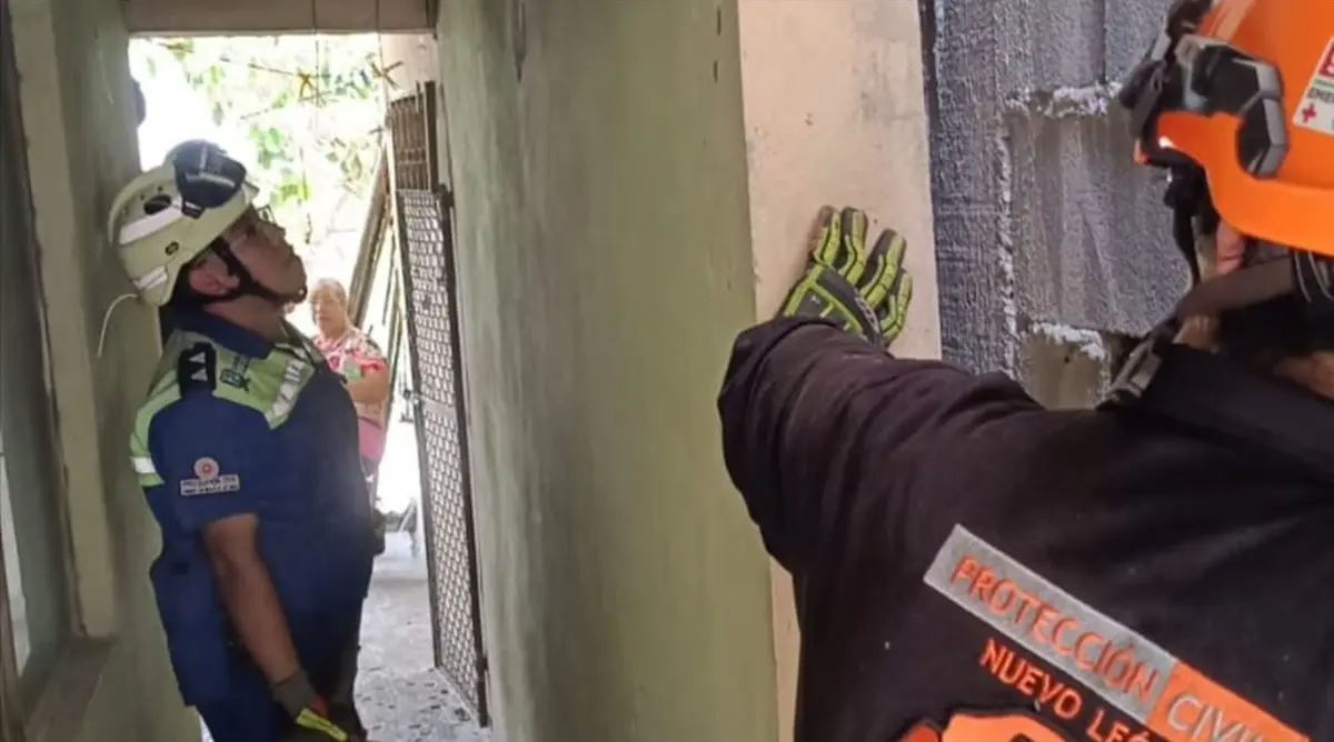 Elementos de Protección Civil de Nuevo León, en coordinación con personal de Protección Civil de San Nicolás, realizaron con éxito el rescate de un gato. Foto: Protección Civil de Nuevo León
