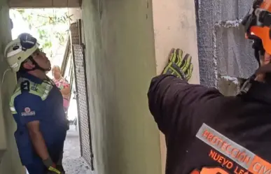 Protección Civil de Nuevo León rescata a gato atrapado entre paredes en San Nicolás