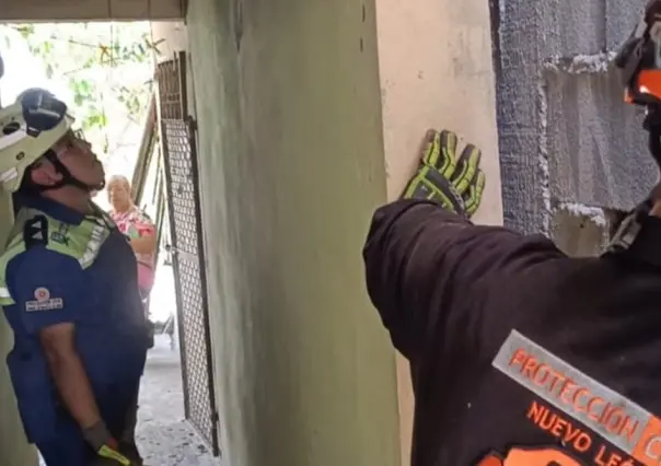 Protección Civil de Nuevo León rescata a gato atrapado entre paredes en San Nicolás
