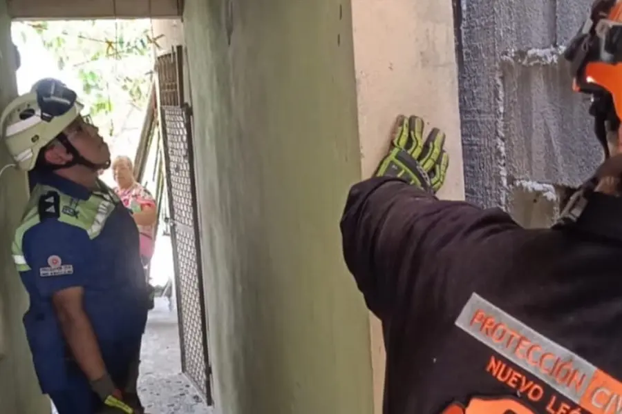 Protección Civil de Nuevo León rescata a gato atrapado entre paredes en San Nicolás