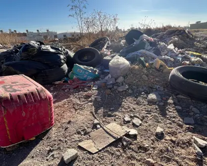 ¿Qué tipo de basura no se lleva el camión y qué hacer en esos casos?