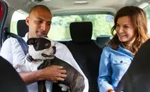 Uber Pet llega a Monterrey para que viajes con tu perro o gato cómodamente