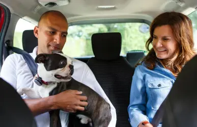 Uber Pet llega a Monterrey para que viajes con tu perro o gato cómodamente