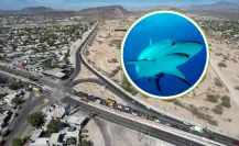 Ayuntamiento de La Paz anuncia apertura de Calle Tiburón