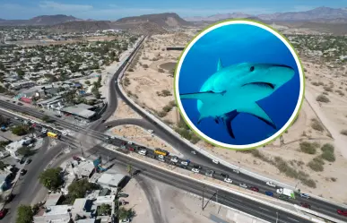Ayuntamiento de La Paz anuncia apertura de Calle Tiburón