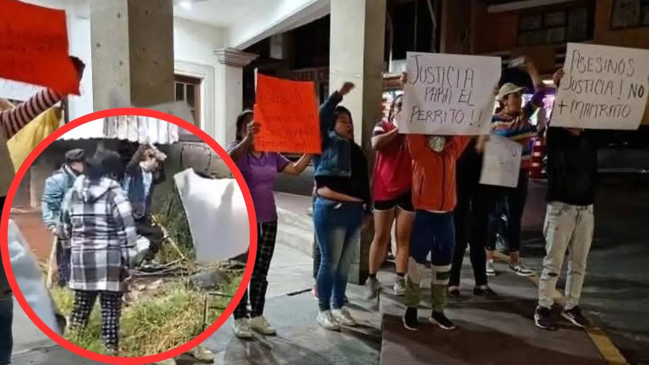 VIDEO | Hombre asesina a perrito en Lerma con un mazo; piden justicia. Foto: Viceversa Noticias / @DMAMIZ8