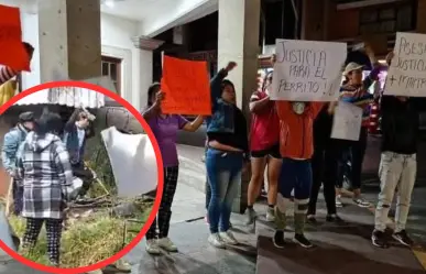 VIDEO | Hombre asesina a perrito en Lerma con un mazo; piden justicia