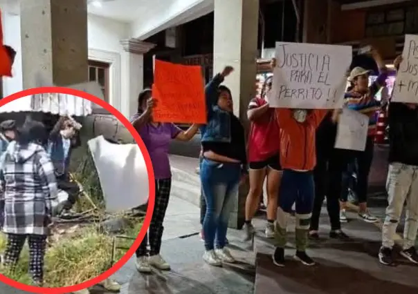 VIDEO | Hombre asesina a perrito en Lerma con un mazo; piden justicia
