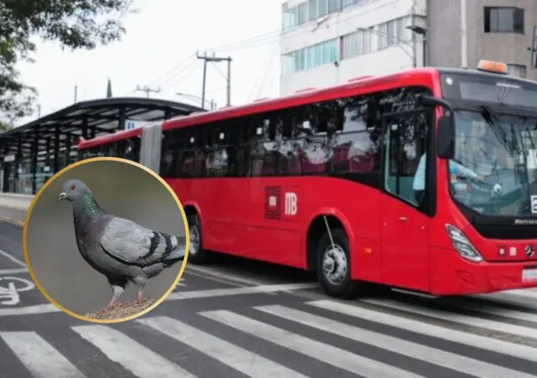 ¡Adiós a las migajeras en el Metrobús! CDMX lanza campaña