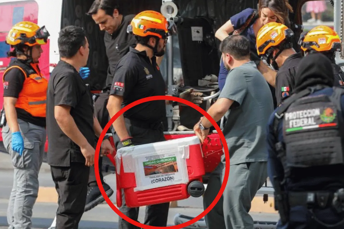 Los trasplantes de órganos dependen de una logística extremadamente puntual. Foto: Canva/PCNL.