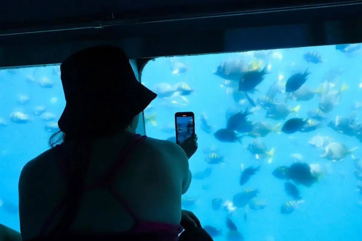 Foto: TripAdvisor