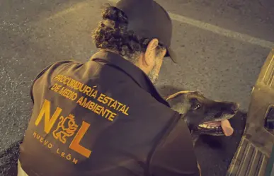 Rescatan a perrita víctima de maltrato en San Nicolás