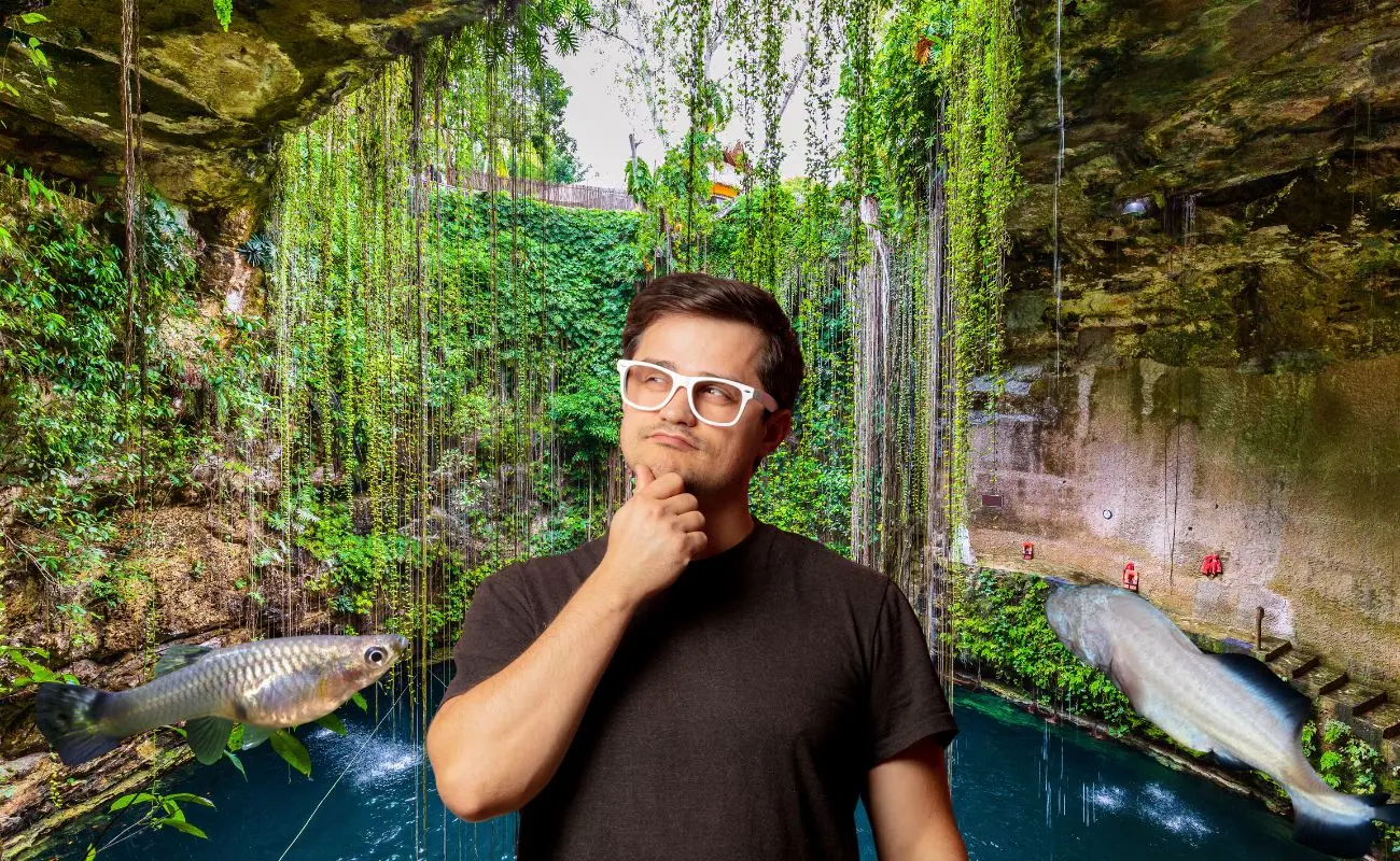 ¿Qué tipo de animales habitan en los cenotes? Foto: Canva