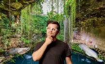 Fauna de los cenotes de Yucatán: ¿Qué especies habitan en estos ecosistemas únicos?