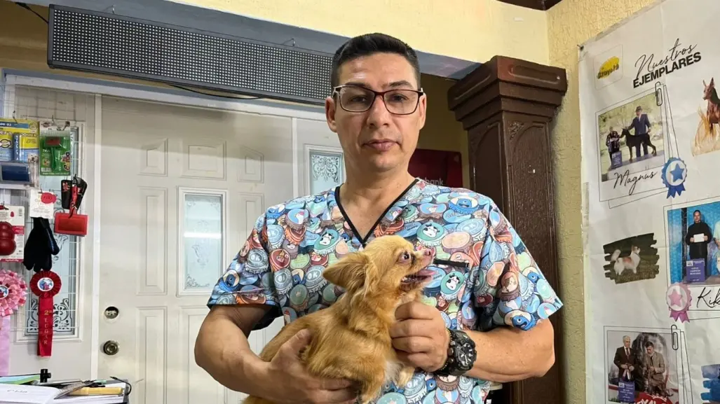 Altas temperaturas en Yucatán: así se puede evitar un golpe de calor en mascotas