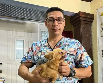 Altas temperaturas en Yucatán: así se puede evitar un golpe de calor en mascotas