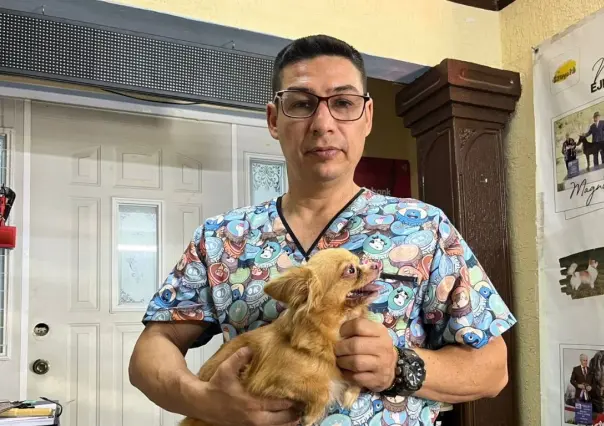 Altas temperaturas en Yucatán: así se puede evitar un golpe de calor en mascotas