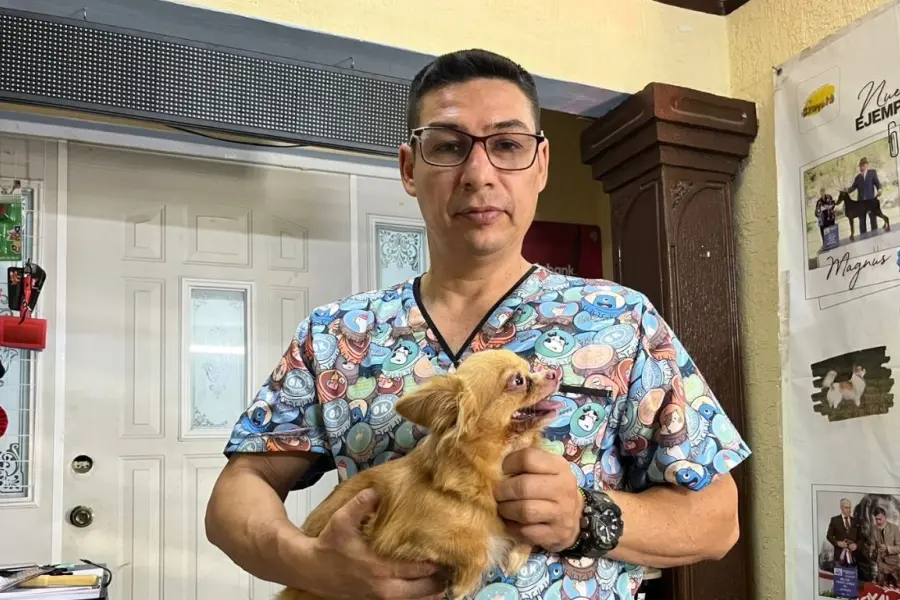 Altas temperaturas en Yucatán: así se puede evitar un golpe de calor en mascotas