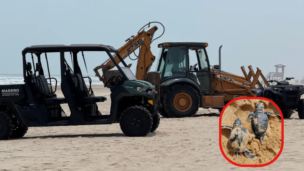Maquinaria pesada destruye zona de anidación de tortugas lora en Playa Miramar