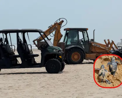 Maquinaria pesada destruye zona de anidación de tortugas lora en Playa Miramar